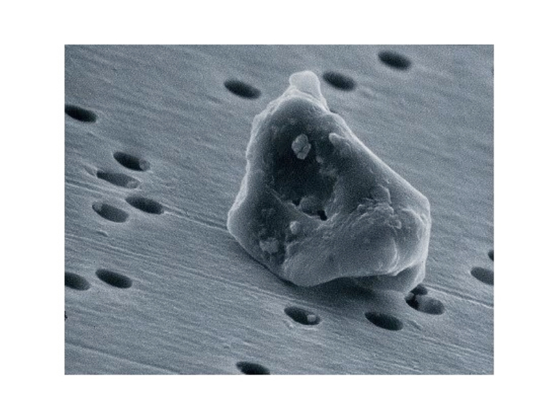 高透明度のポリカーボネート製薄膜フィルター